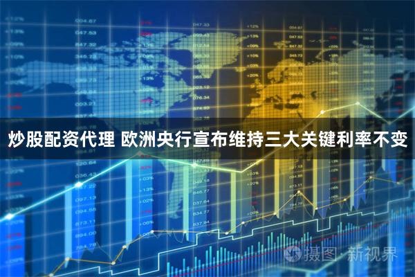 炒股配资代理 欧洲央行宣布维持三大关键利率不变