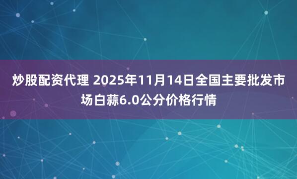 炒股配资代理 2025年11月14日全国主要批发市场白蒜6.0公分价格行情