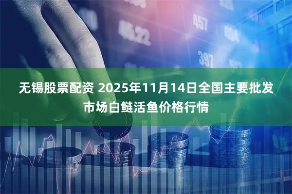 无锡股票配资 2025年11月14日全国主要批发市场白鲢活鱼价格行情