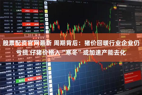 股票配资官网最新 周期背后：猪价回暖行业企业仍亏损 仔猪价格入“寒冬”或加速产能去化